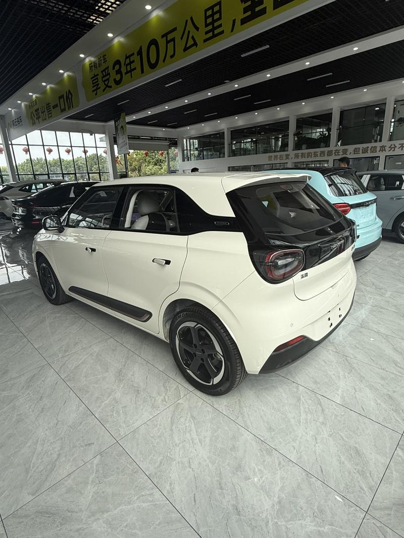Dongfeng Yipai Nano 01, 2024 — фото 5 из 9