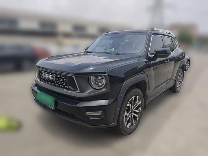 Haval H-Dog, 2023 — фото 2 из 9