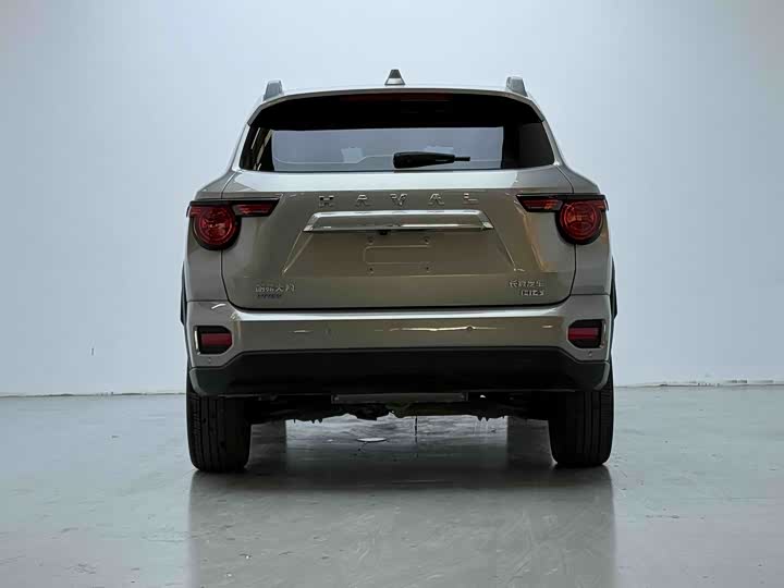 Haval H-Dog Hybrid, 2024 — фото 9 из 9
