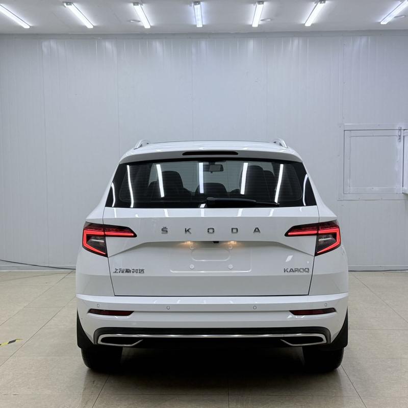 Skoda Karoq, 2024 — фото 5 из 12