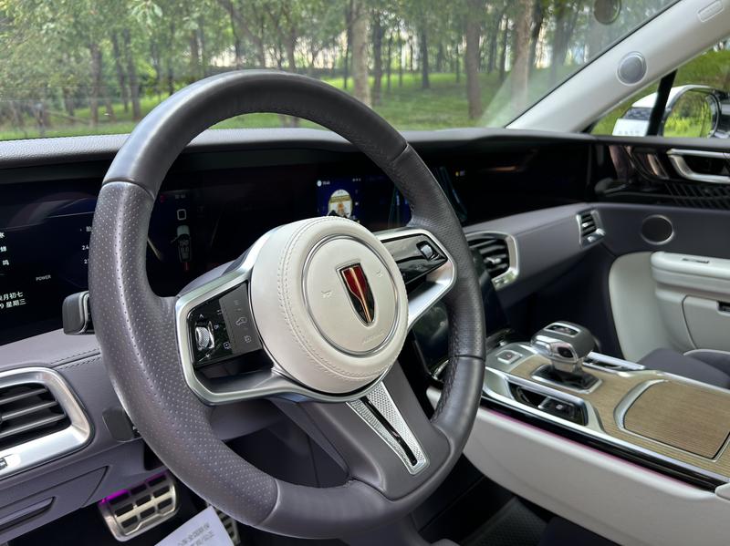 Hongqi E-HS9, 2023 — фото 8 из 12