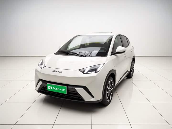 BYD Seagull, 2024 — купить в Чебоксарах под ключ