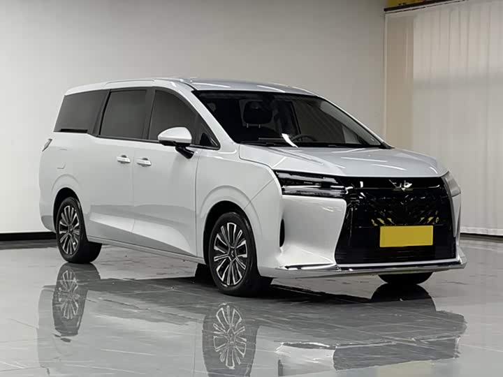 Wuling Starlight 730 Hybrid/EV, 2025 — фото 7 из 9