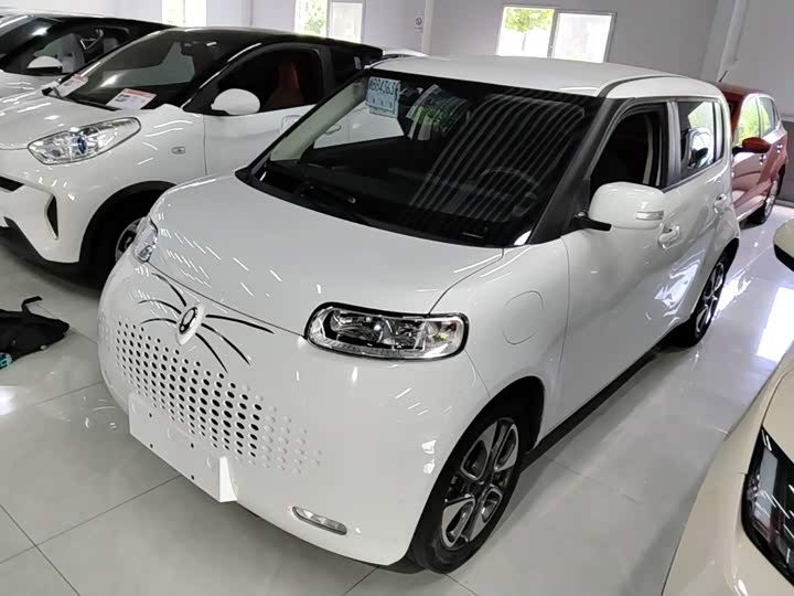 Ora White Cat, 2021 — купить в Перми под ключ