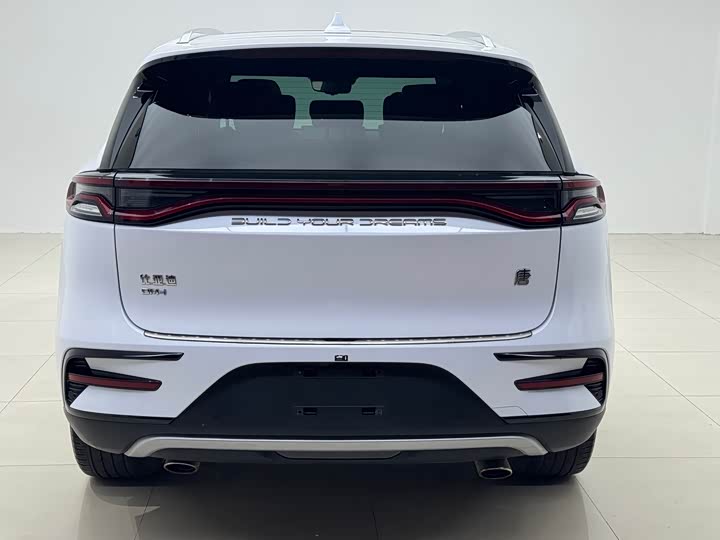 BYD Tang Hybrid/EV, 2022 — фото 5 из 9
