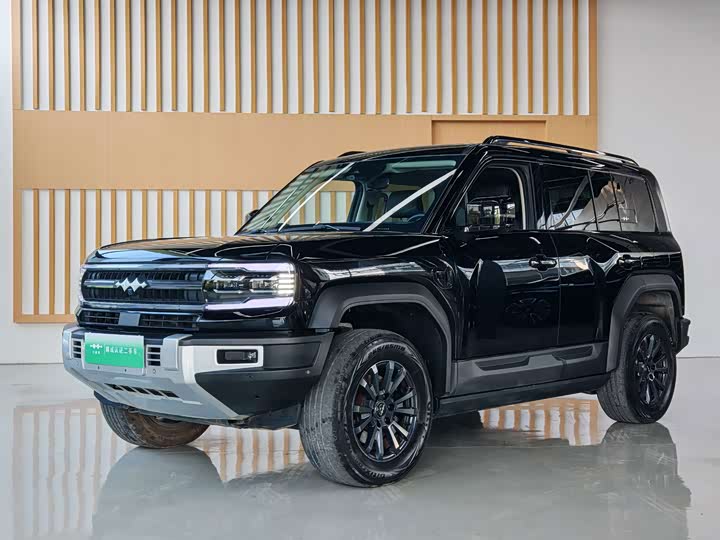 BYD FangChengBao Leopard 5, 2024 — купить в Саратове под ключ