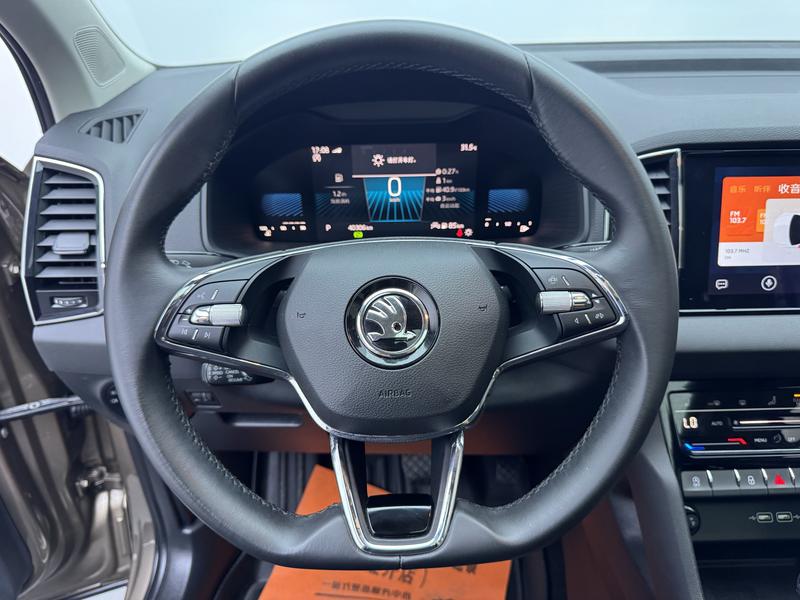 Skoda Karoq, 2022 — фото 8 из 12