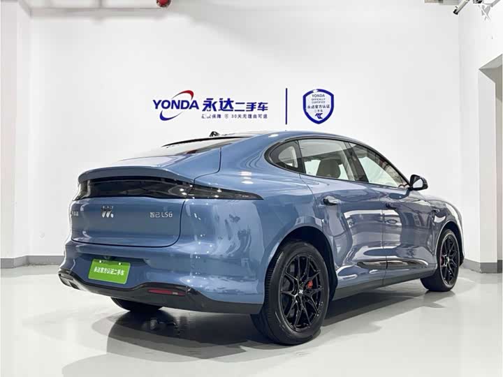 IM motors LS6, 2025 — фото 6 из 9