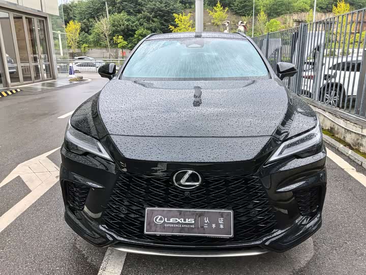 Lexus RX, 2023 — фото 2 из 9