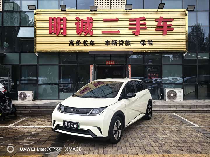 BYD Dolphin, 2023 — купить в Тамбове под ключ