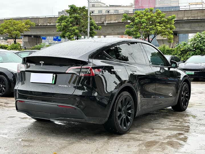 Tesla Model Y, 2021 — фото 7 из 9