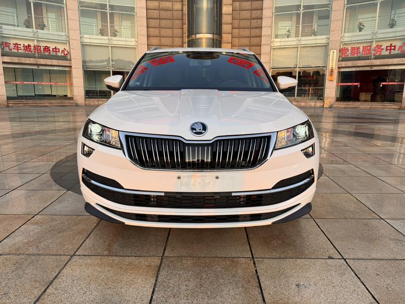 Skoda Karoq, 2023 — фото 2 из 12