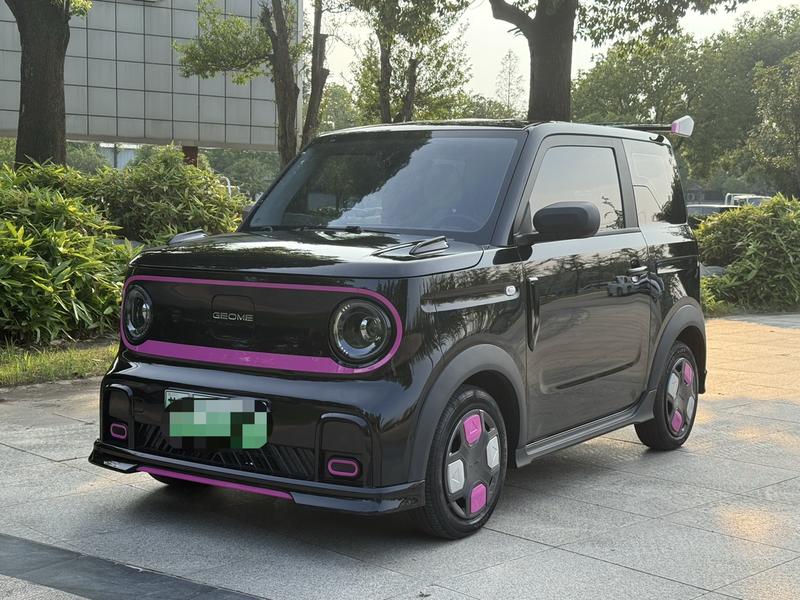 Geely Galaxy Panda Mini, 2024 — купить в Смоленске под ключ