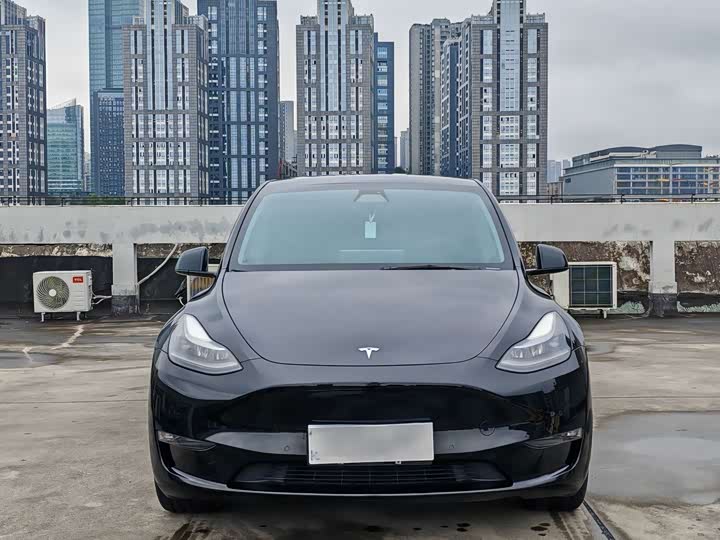 Tesla Model Y, 2022 — фото 2 из 9