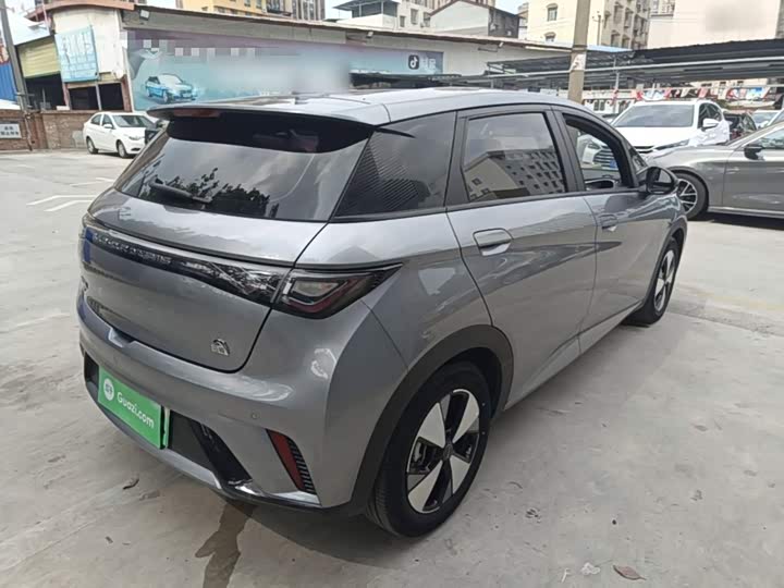 BYD Dolphin, 2023 — фото 7 из 9