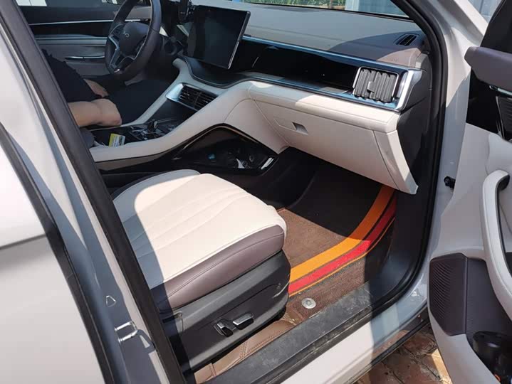 BYD Song Plus Hybrid/EV, 2024 — фото 8 из 9