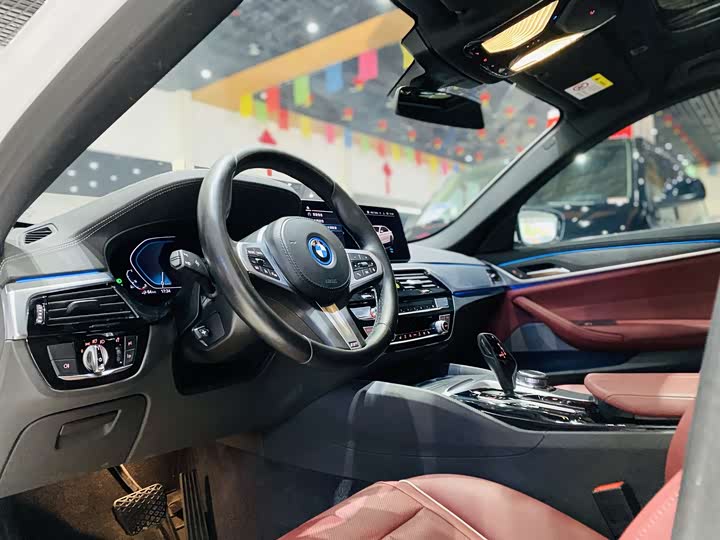 BMW 5 Series Hybrid, 2021 — фото 6 из 9