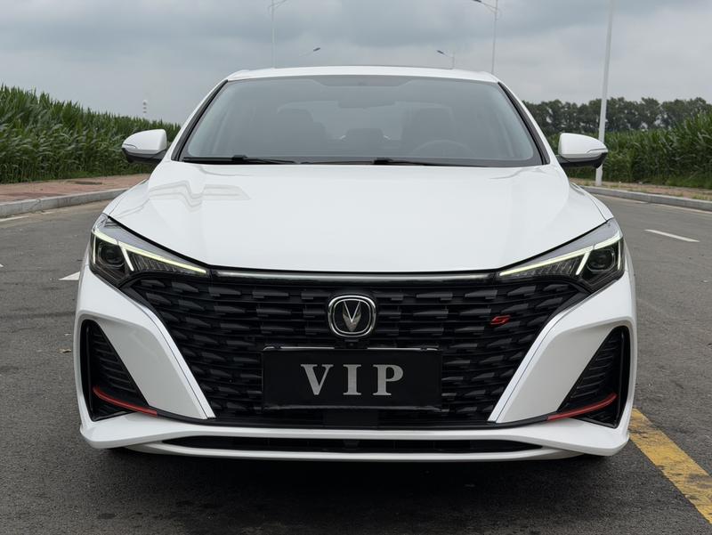 Changan Eado Plus, 2023 — фото 2 из 10