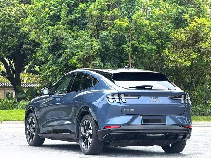 Ford Mustang Mach-E, 2022 — фото 5 из 9