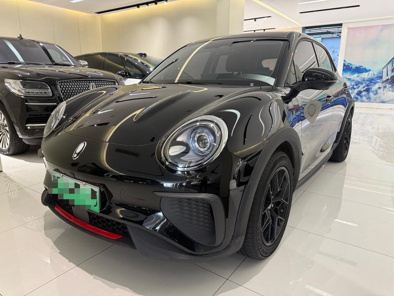 Ora Good Cat GT (03 GT), 2025 — купить в Самаре под ключ