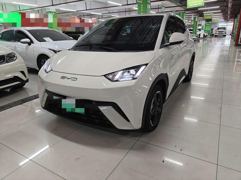 BYD Seagull, 2023 — купить в Смоленске под ключ