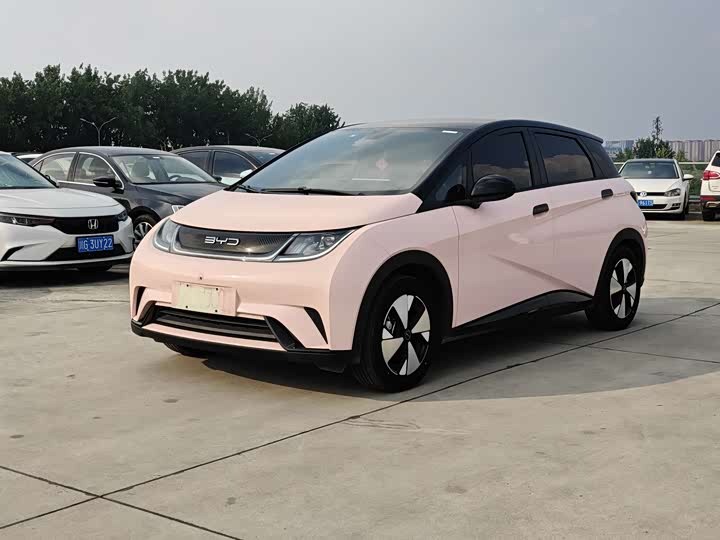BYD Dolphin, 2023 — купить в Иванове под ключ