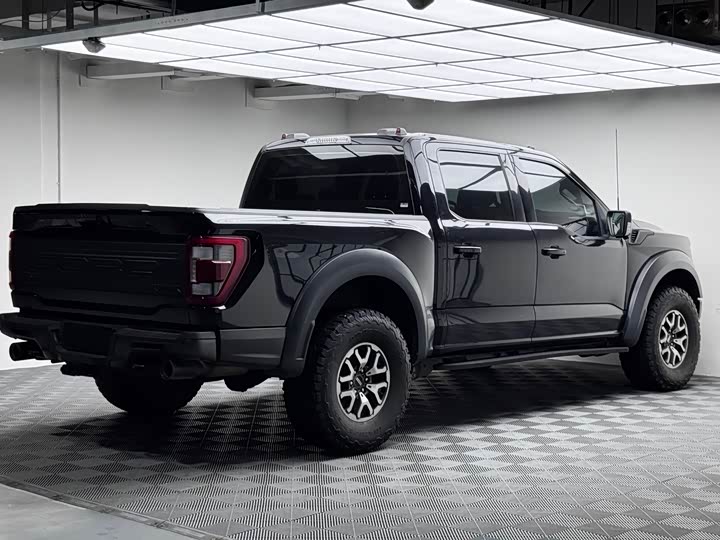 Ford F-150 Raptor, 2023 — фото 5 из 9