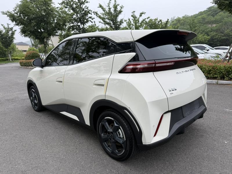 BYD Seagull, 2023 — фото 4 из 10