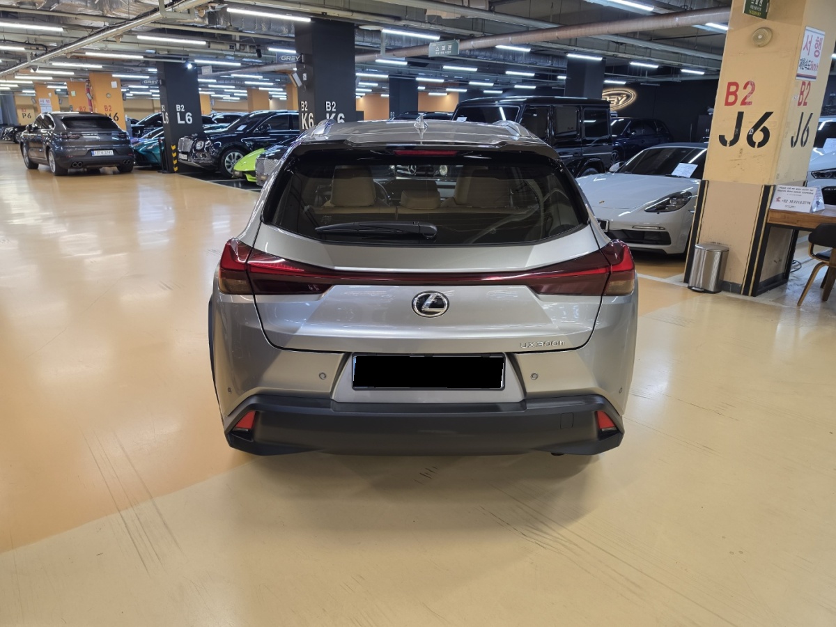 Lexus UX, 2025 — фото 4 из 12