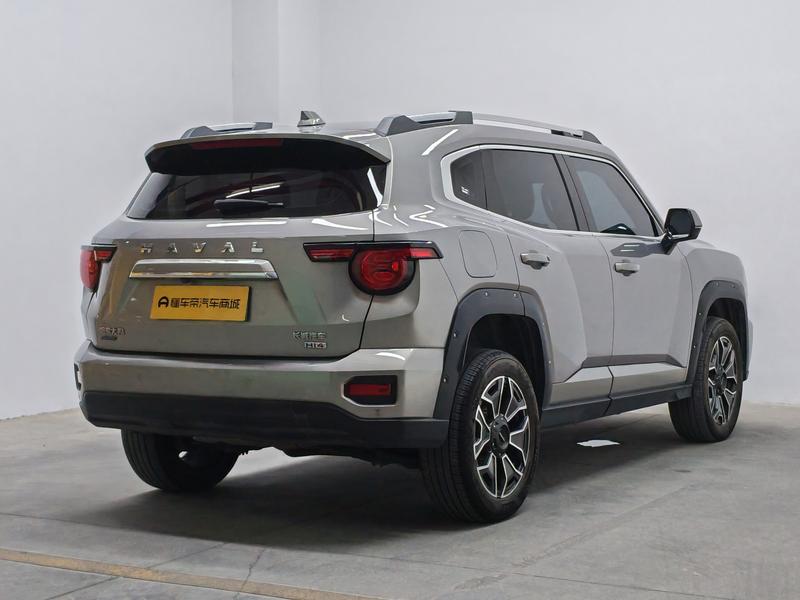 Haval H-Dog Hybrid, 2024 — фото 7 из 12