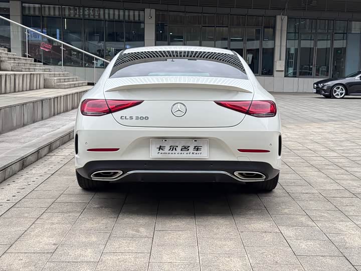 Mercedes-Benz CLS-Class, 2022 — фото 5 из 9
