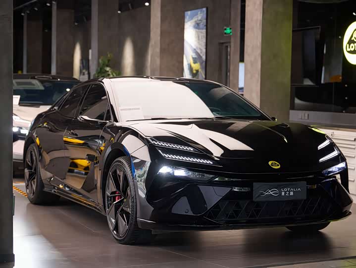 Lotus Emeya, 2024 — купить в Воронеже под ключ