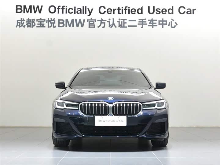 BMW 5 Series Hybrid, 2022 — фото 2 из 9