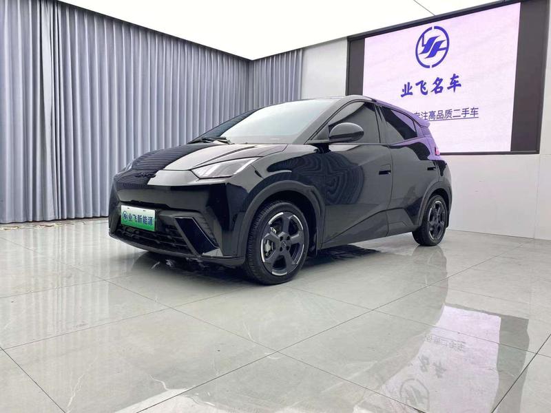 BYD Seagull, 2024 — купить в Туле под ключ