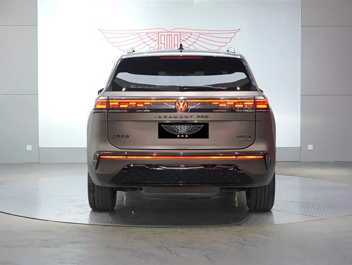 Volkswagen Teramont Pro, 2025 — фото 5 из 9