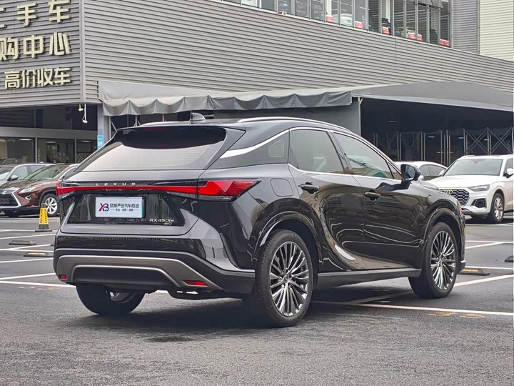 Lexus RX Hybrid, 2023 — фото 7 из 9