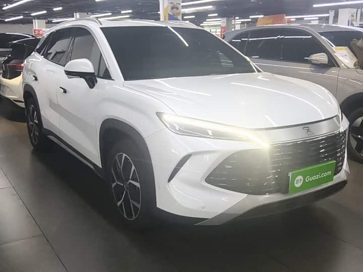 BYD Song L DM-i Hybrid, 2024 — фото 4 из 9