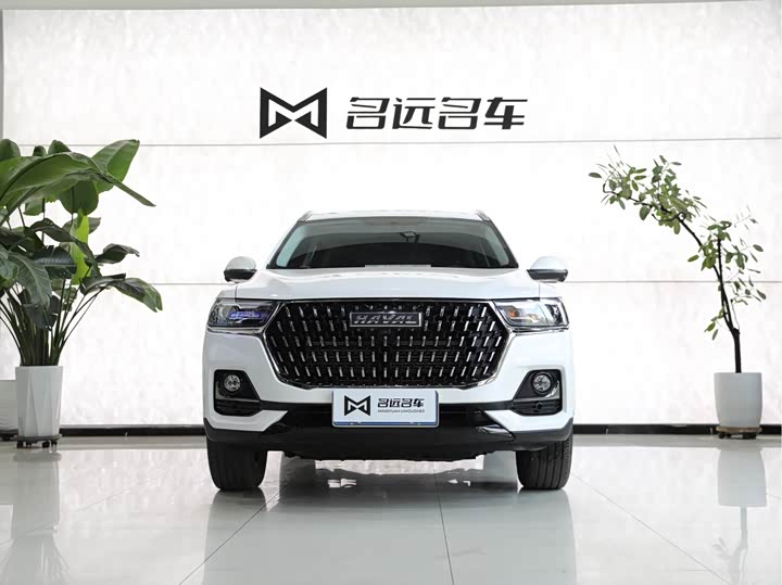 Haval H6, 2023 — фото 2 из 9