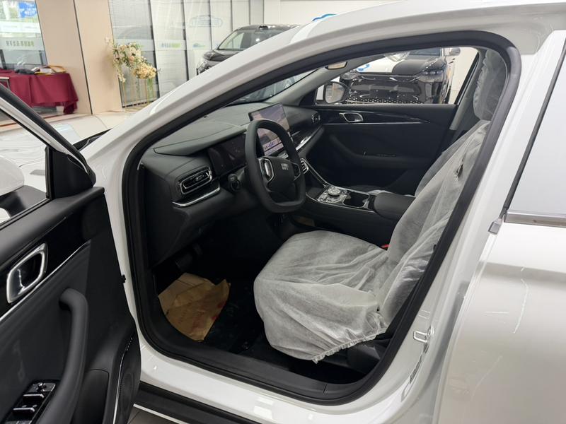 Geely Galaxy Starshine 6, 2025 — фото 9 из 12