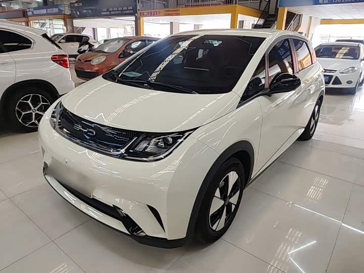 BYD Dolphin, 2023 — купить в Иванове под ключ