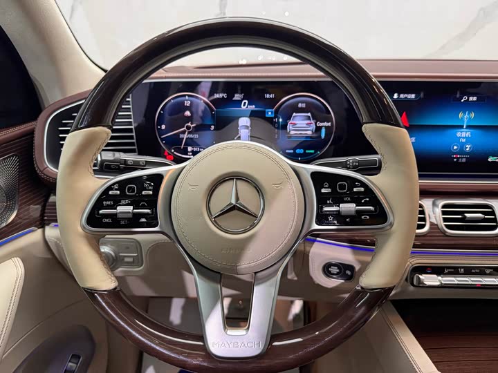 Mercedes-Benz Maybach GLS, 2021 — фото 8 из 9