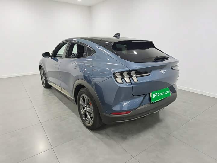 Ford Mustang Mach-E, 2024 — фото 5 из 9