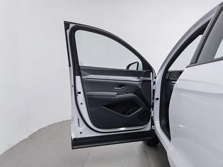 BYD Song Pro Hybrid, 2025 — фото 8 из 9