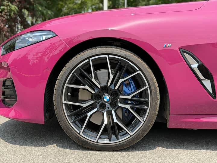 BMW 8 Series, 2025 — фото 7 из 9