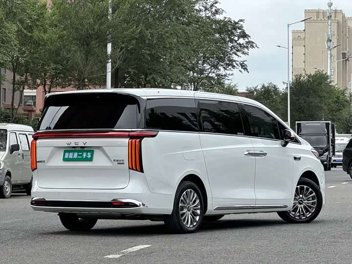 Wey 80 Hybrid, 2025 — фото 9 из 9