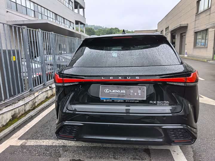 Lexus RX, 2023 — фото 9 из 9
