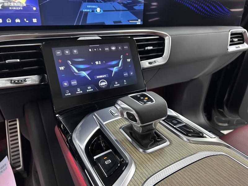 Hongqi E-HS9, 2023 — фото 10 из 12