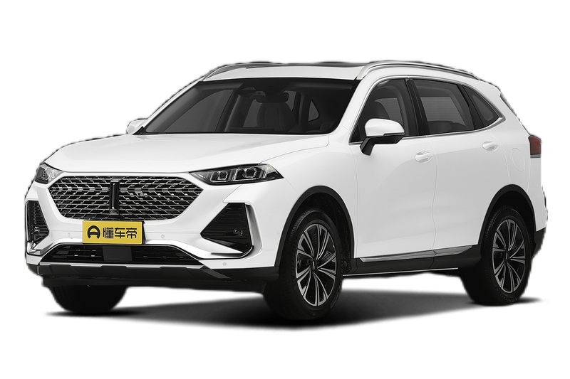 Wey Latte DHT Hybrid, 2022 — фото 12 из 12