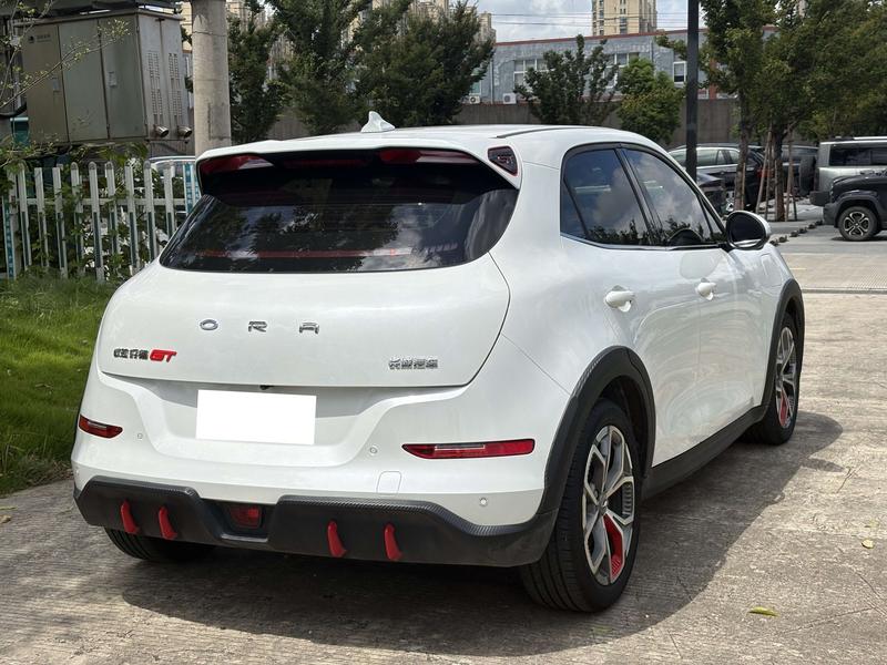 Ora Good Cat GT (03 GT), 2023 — фото 6 из 12