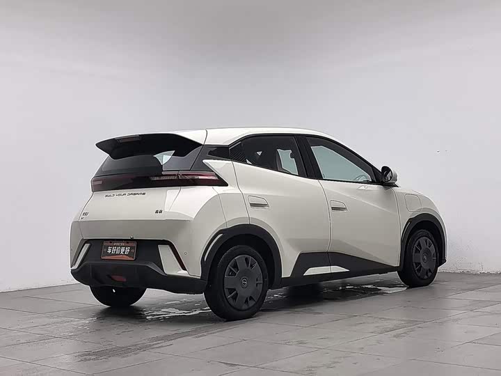 BYD Seagull, 2024 — фото 2 из 9
